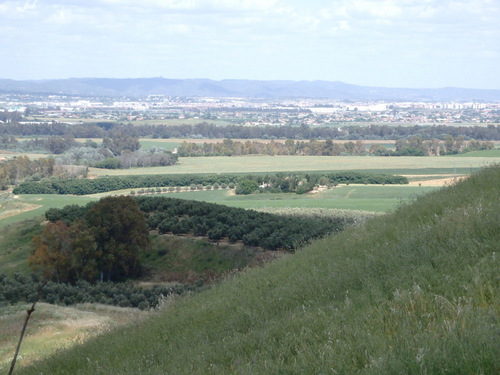 Our last hill before the descent to C&oacute;rdoba.